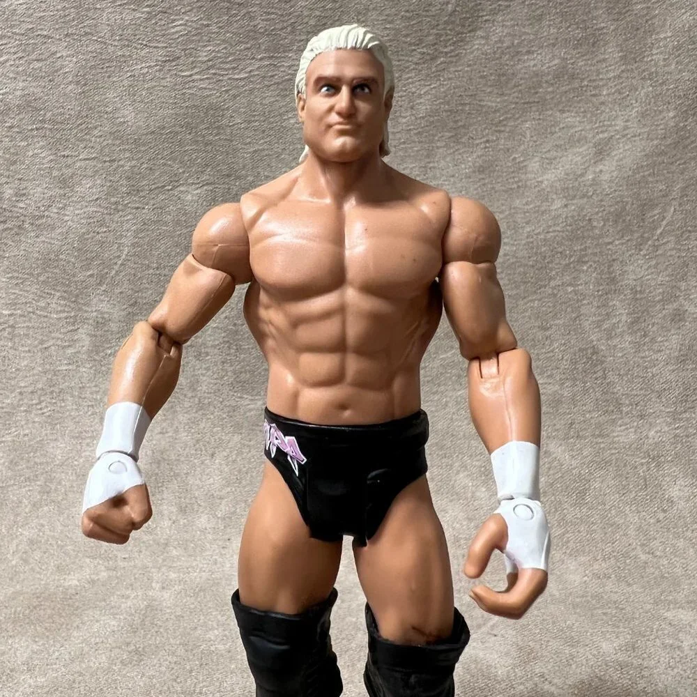 WWE Dolph Ziggler Action Figure, Wrester 2011 Mattel